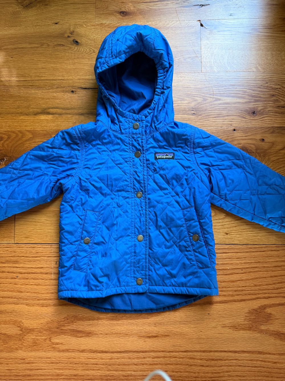 Patagonia Bright Blue Quilted Hooded Puffer Namo Jacket - 3T